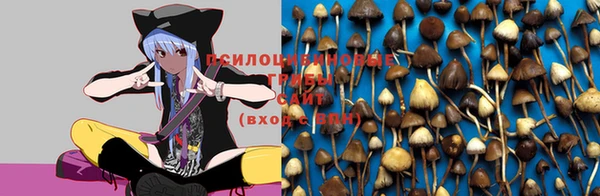 амф Волоколамск